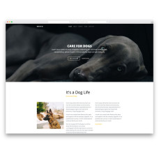 ✅ Breed шаблона для сайта или блога о животных